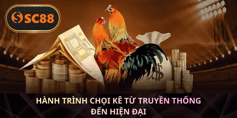 Hành Trình chọi kê Từ Truyền Thống Đến Hiện Đại