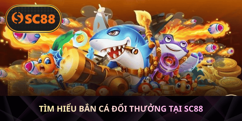 Tìm hiểu bắn cá đổi thưởng tại SC88